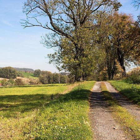 Villa Bawaria Těšín Exteriér fotografie