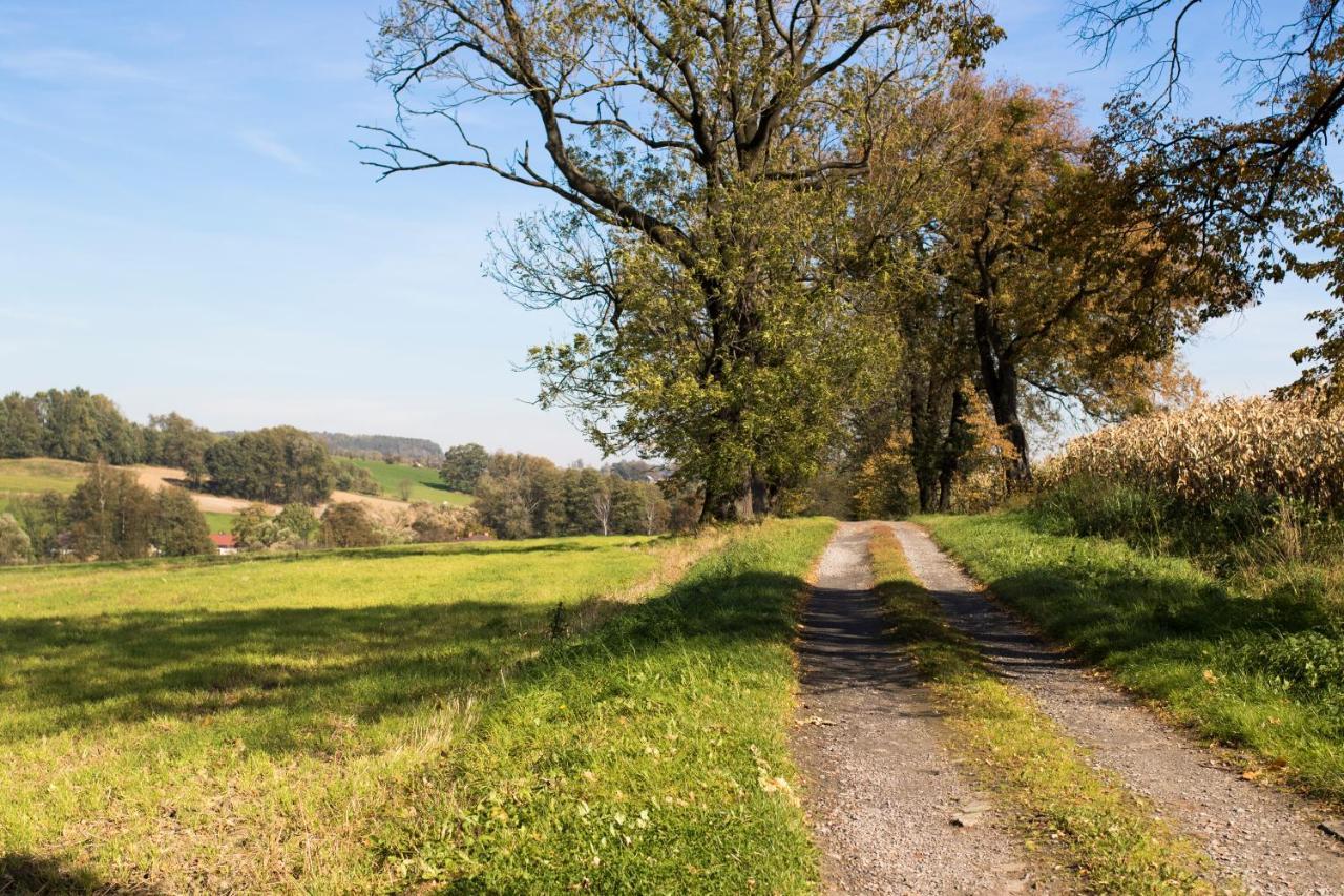 Villa Bawaria Těšín Exteriér fotografie